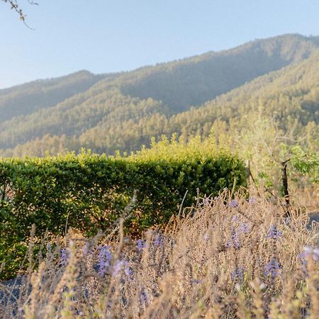 Casa Elena Villa Tijarafe Dış mekan fotoğraf