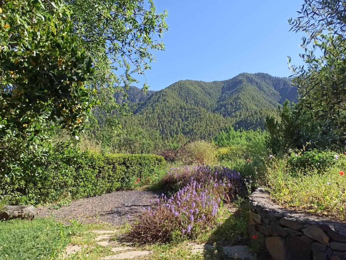 Casa Elena Villa Tijarafe Dış mekan fotoğraf